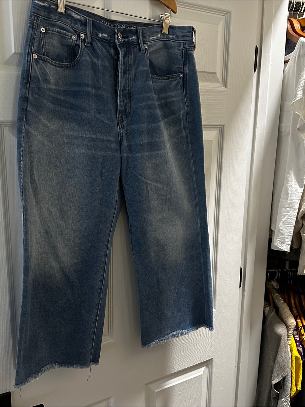 American Eagle Outfitters Wide Legged Cropped Jeans